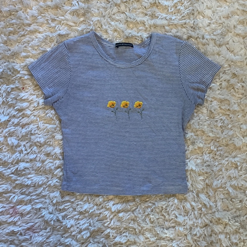 Small Brandy Melville striped crop top.